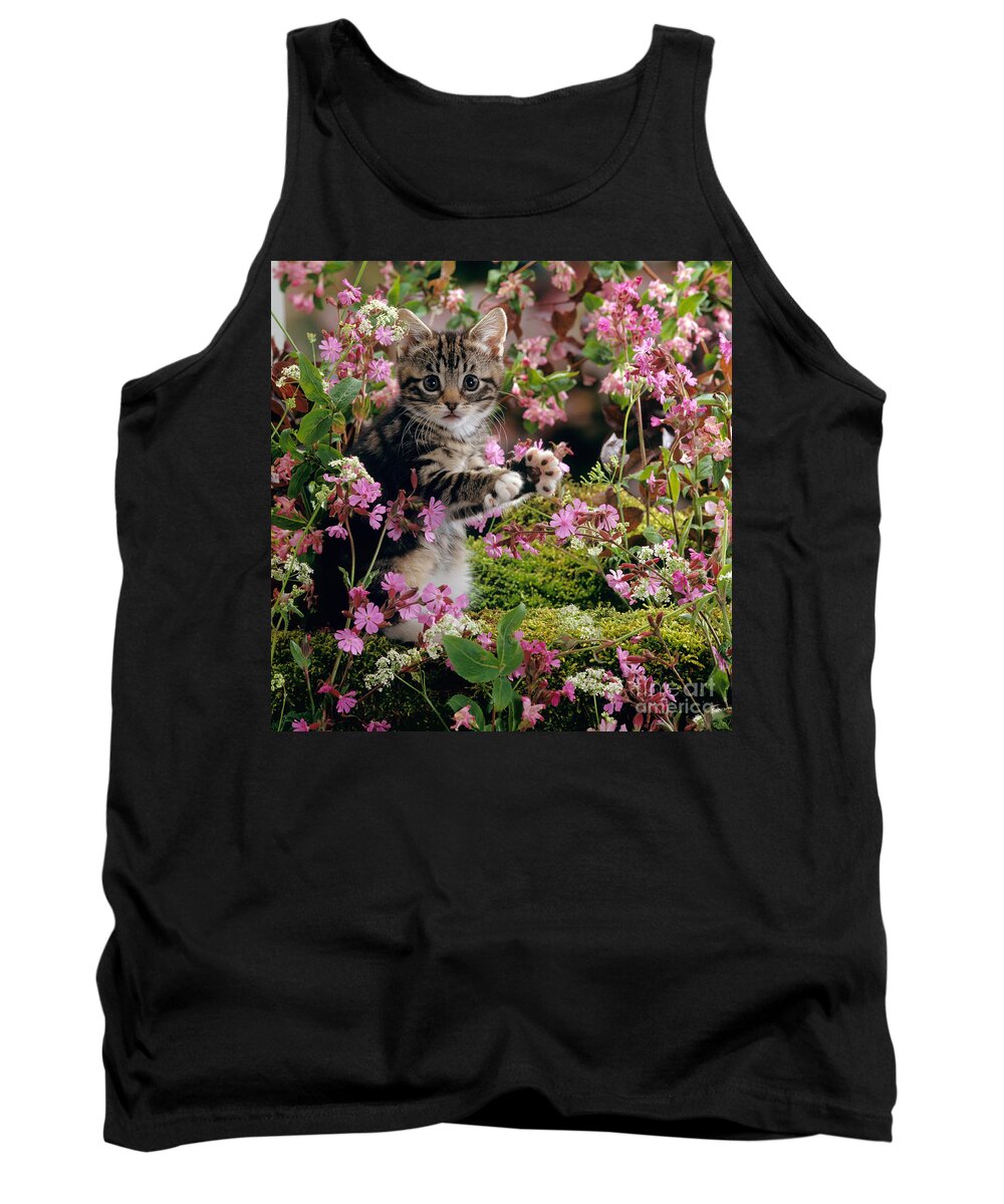 Tabby Tank Top featuring the photograph Don't Pick the Flowers by Warren Photographic