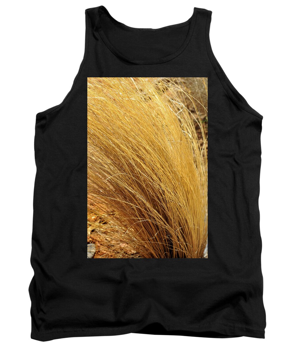 Landscape Tank Top featuring the photograph Dried Grass by Ron Cline