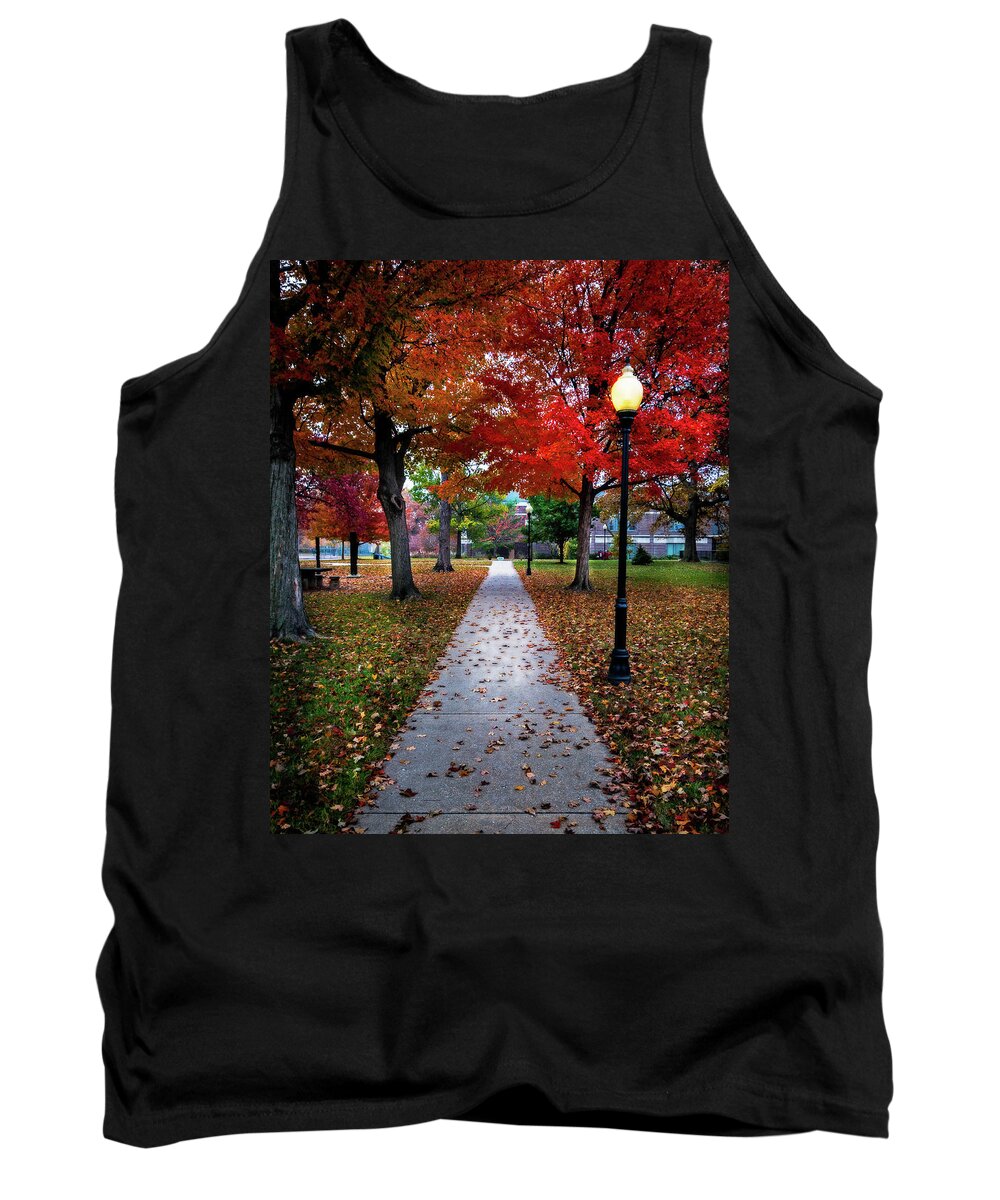 Fall Tank Top featuring the photograph Drury Fall by Allin Sorenson