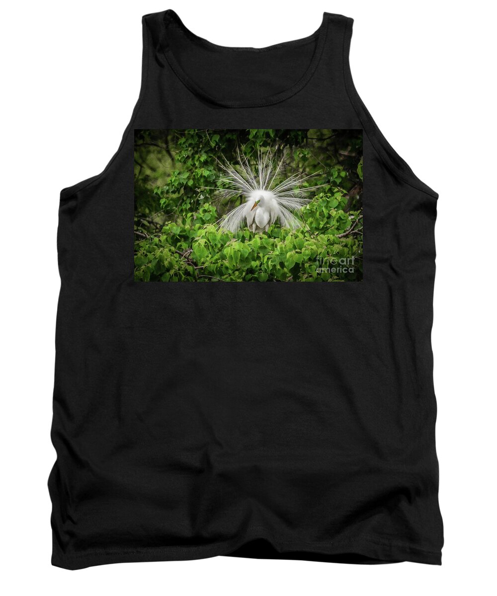 Egret Tank Top featuring the photograph Egret fanning by Barry Bohn