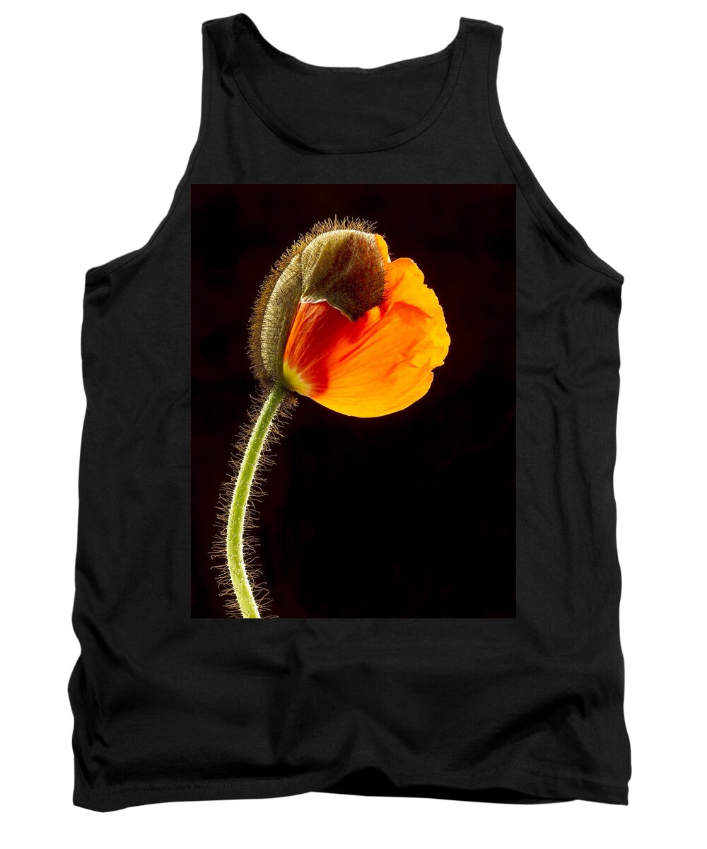 Color Tank Top featuring the photograph Emerging Poppy by Jean Noren