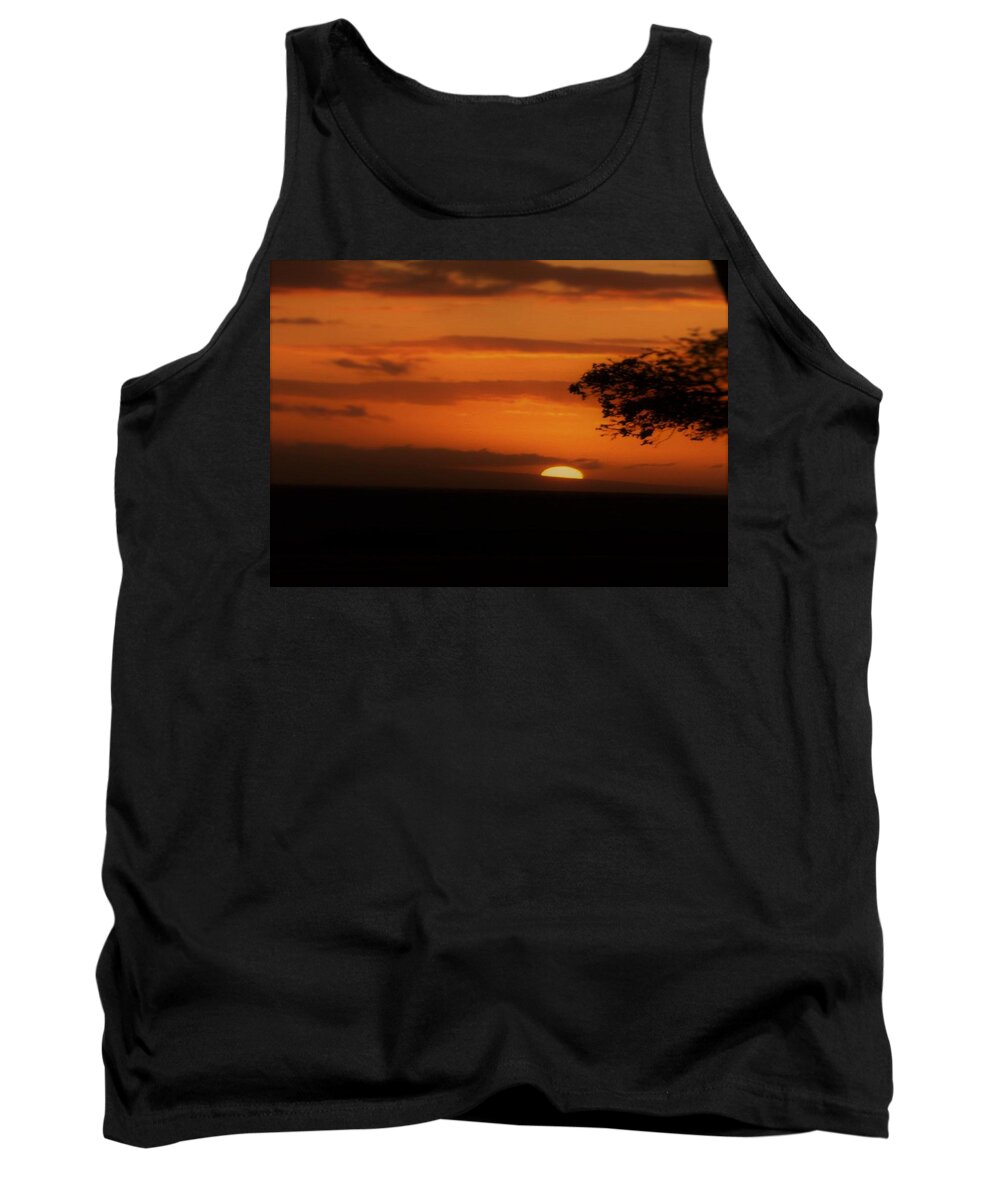 Landscapes Tank Top featuring the photograph End of Day by Charles HALL