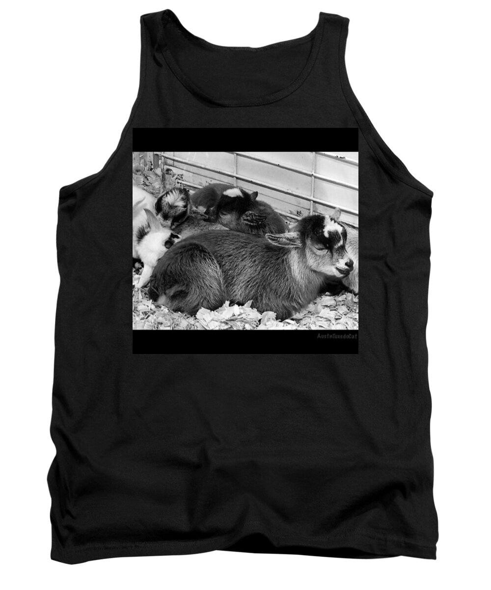 Cute Tank Top featuring the photograph Extreme #cuteness In #blackandwhite by Austin Tuxedo Cat