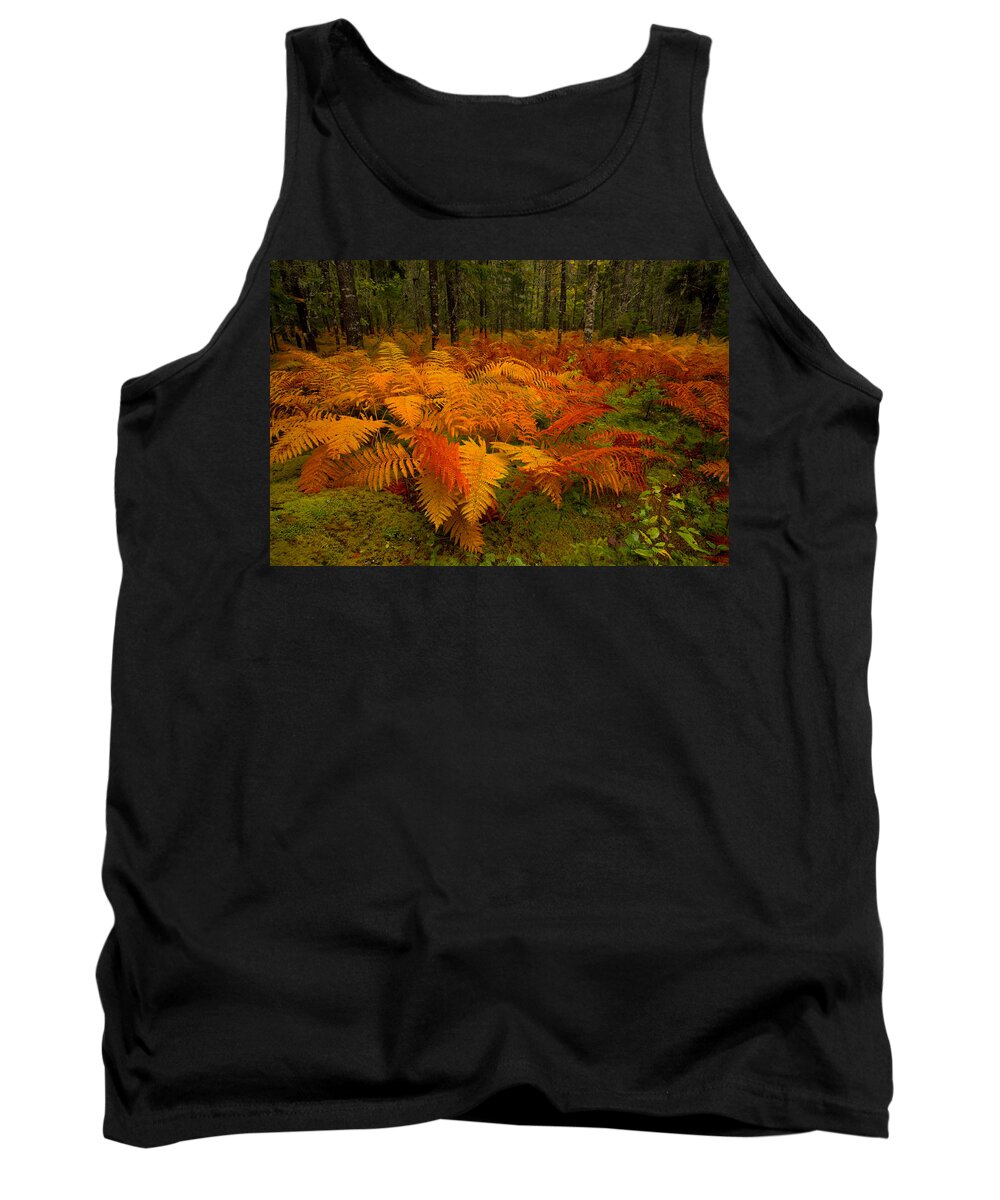 Autumn Tank Top featuring the photograph Fall Cinnamon Fern Meadow #1 by Irwin Barrett