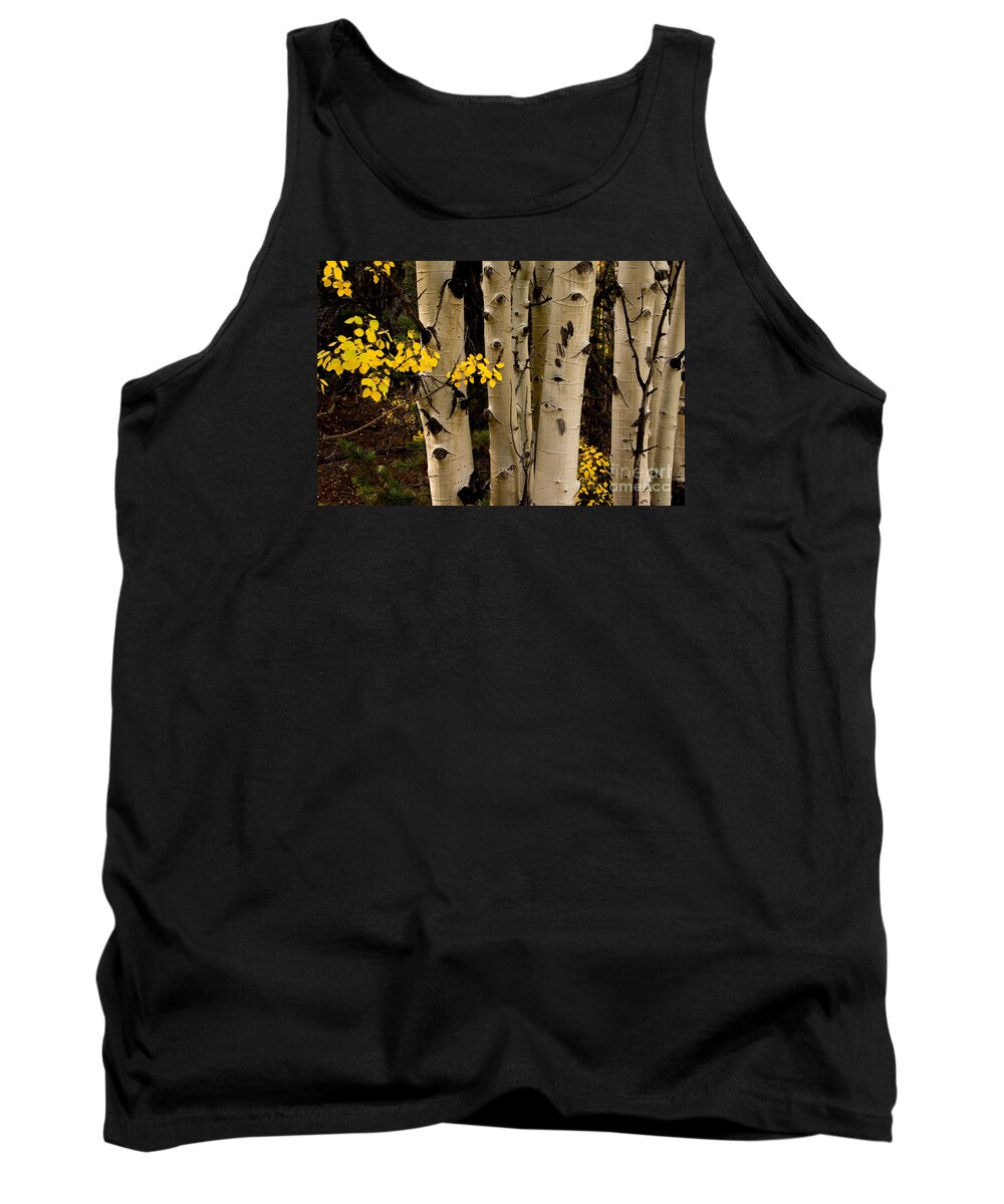 Afternoon Tank Top featuring the photograph Fall Decorations by Greg Summers