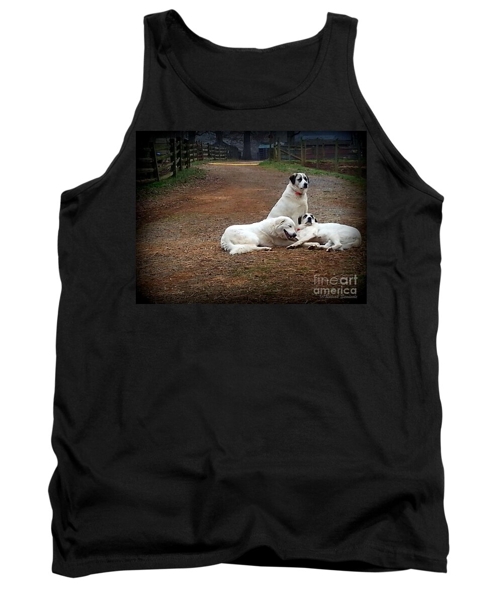 Dogs Tank Top featuring the photograph Family Portrait by Rabiah Seminole