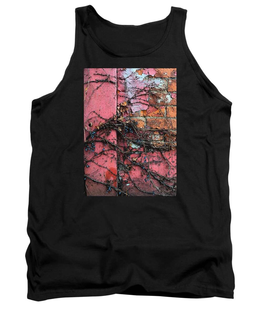 Jamestown Tank Top featuring the photograph Feast of Warriors by Char Szabo-Perricelli
