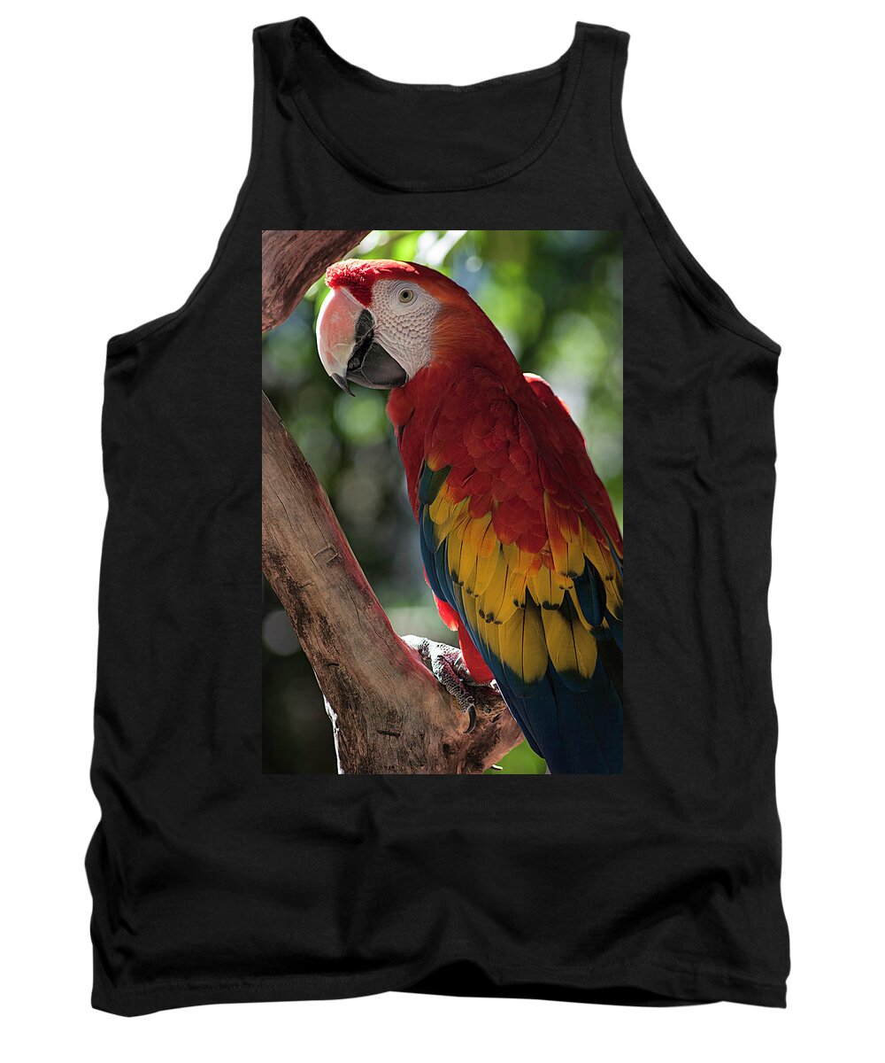Photography Tank Top featuring the photograph Feathered Rainbow by Kathleen Messmer