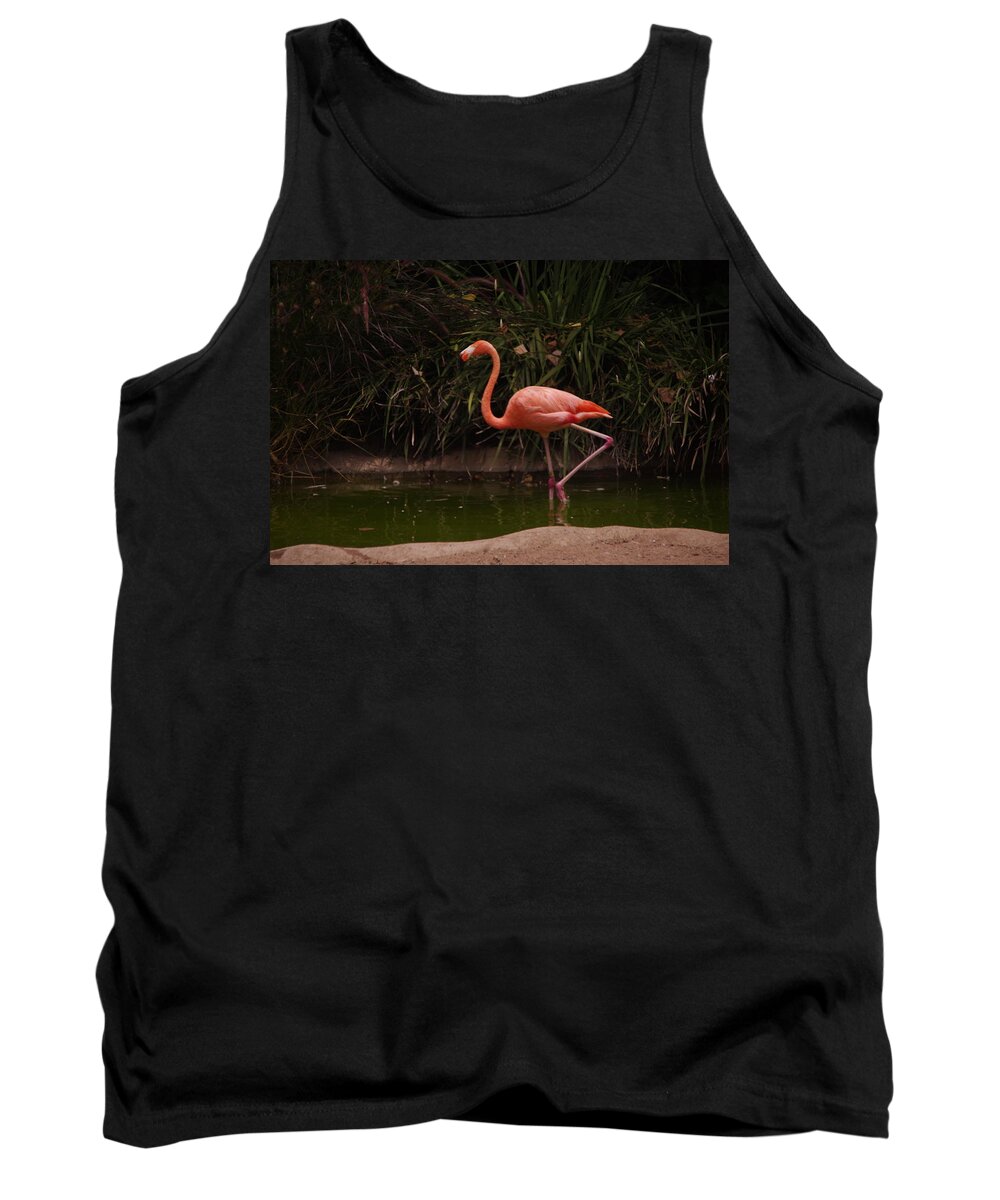 Flamingo Tank Top featuring the photograph Flamingo 1 San Diego Zoo by Phyllis Spoor