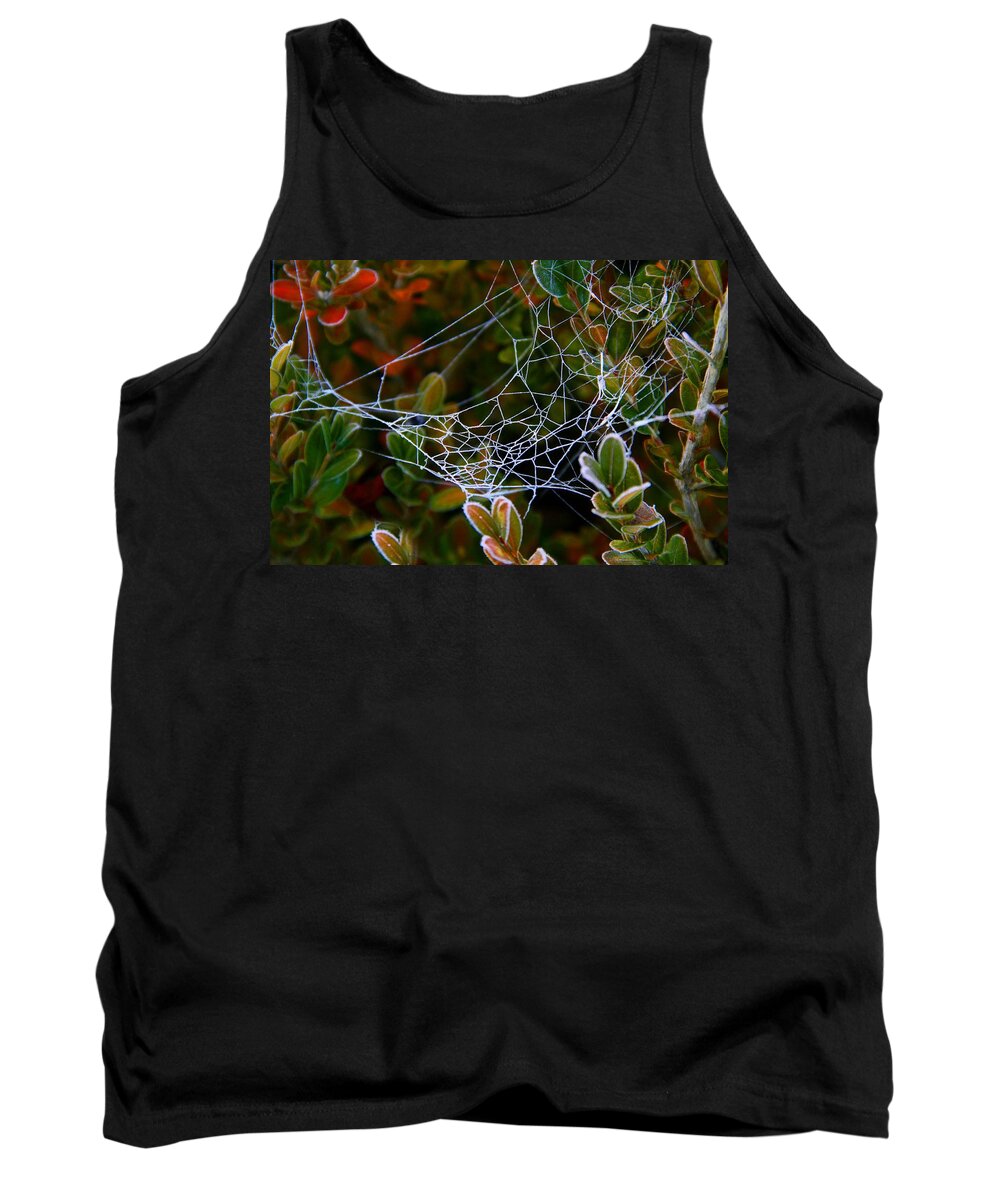 Spider Tank Top featuring the photograph Frosted Web by Kathryn Meyer