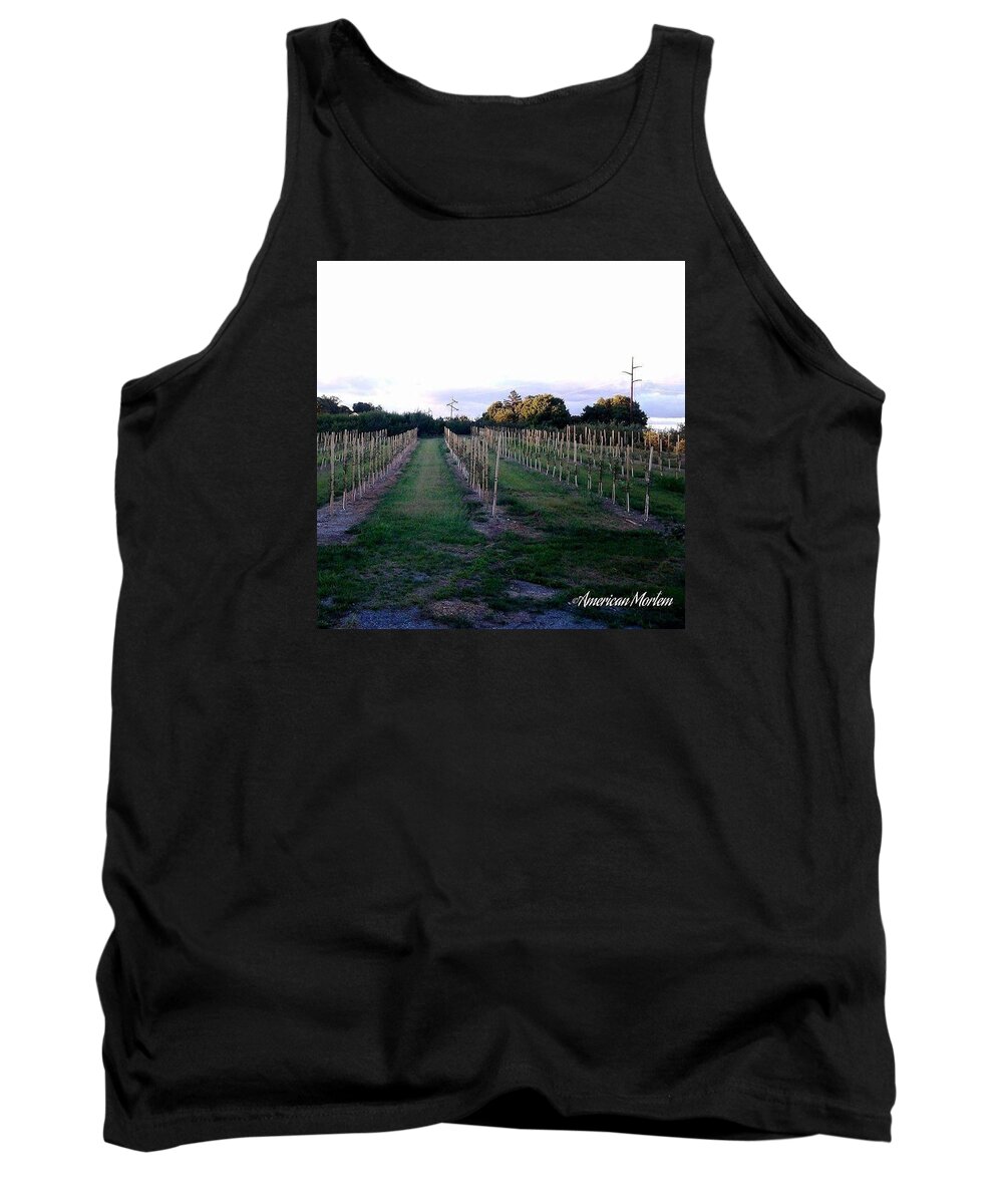  Tank Top featuring the photograph Fruit Tree Rows by Stephanie Piaquadio