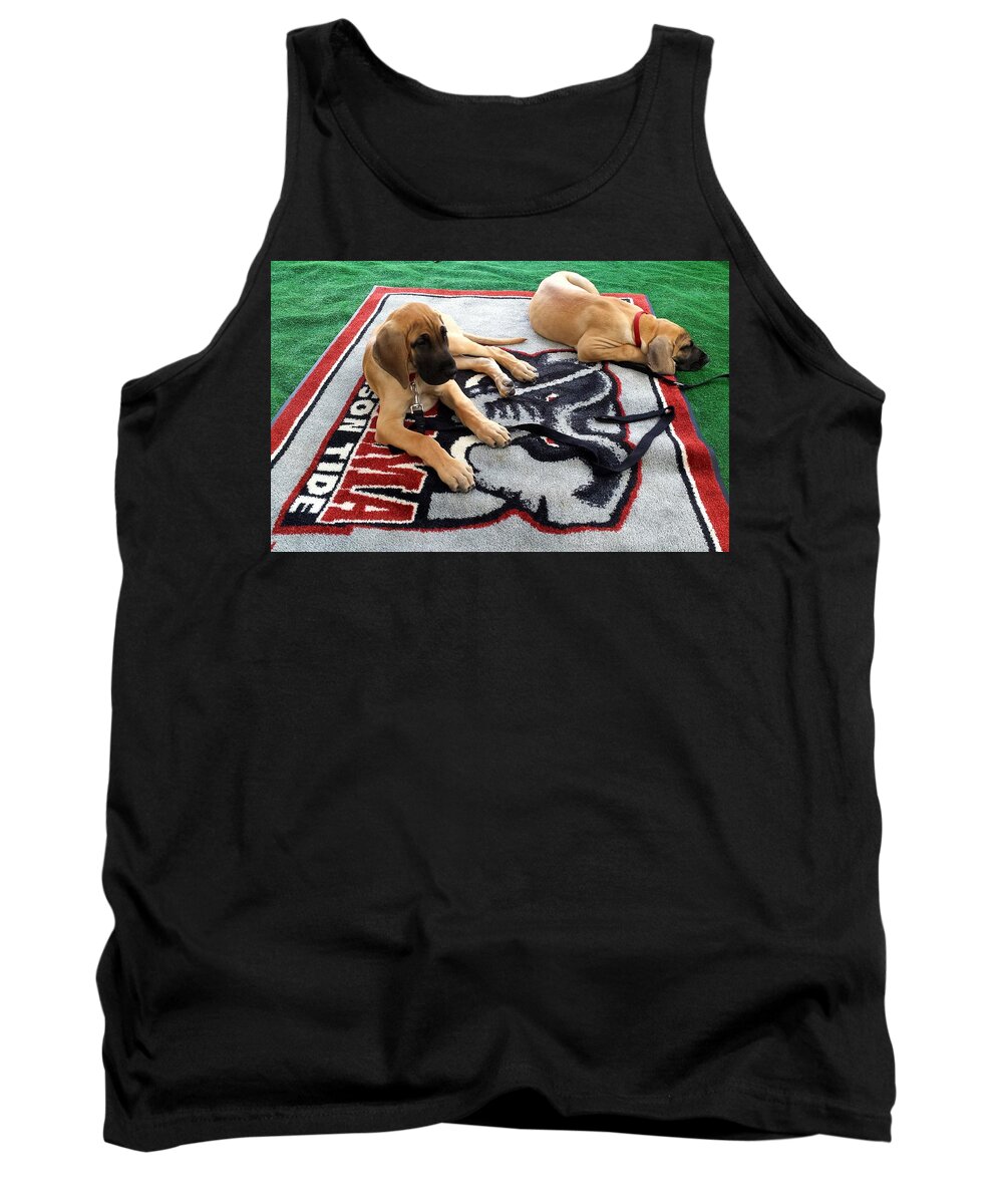 Gameday Tank Top featuring the photograph Gameday Great Dane Puppies by Kenny Glover