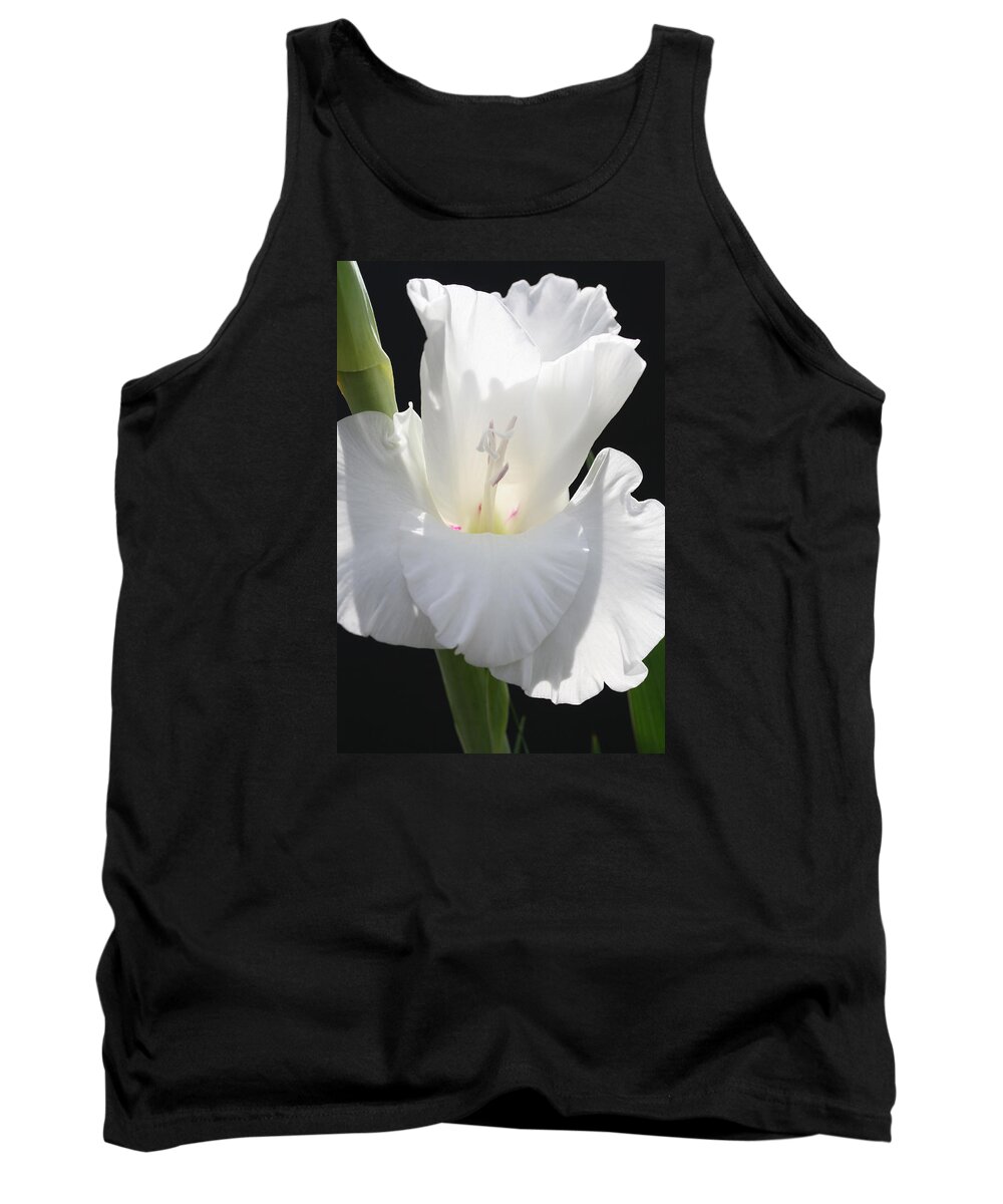 Gladiolus Tank Top featuring the photograph Gladiolus Chef by Tammy Pool