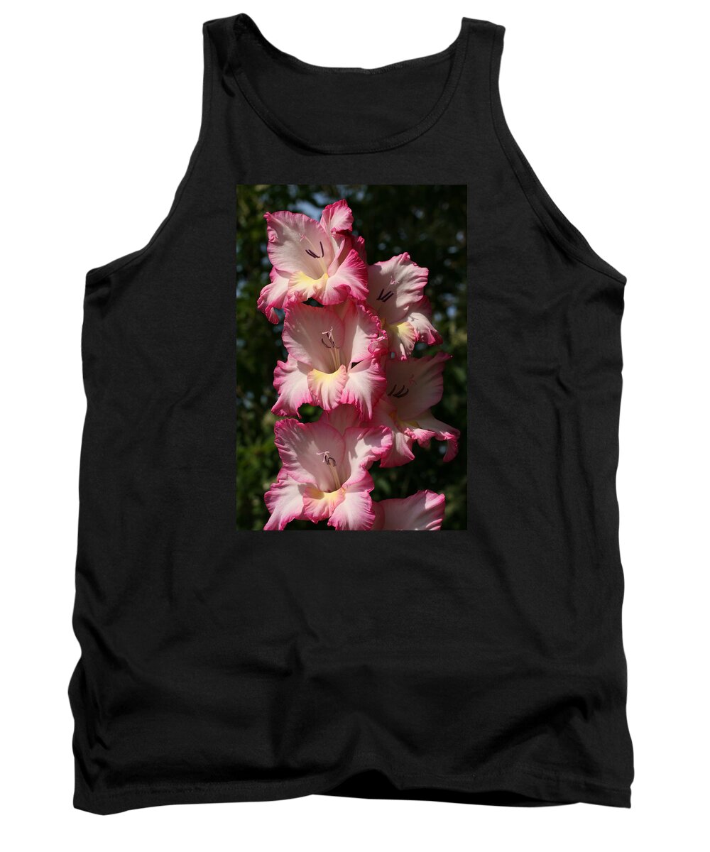 Gladiolus Tank Top featuring the photograph Gladiolus Parfait by Tammy Pool