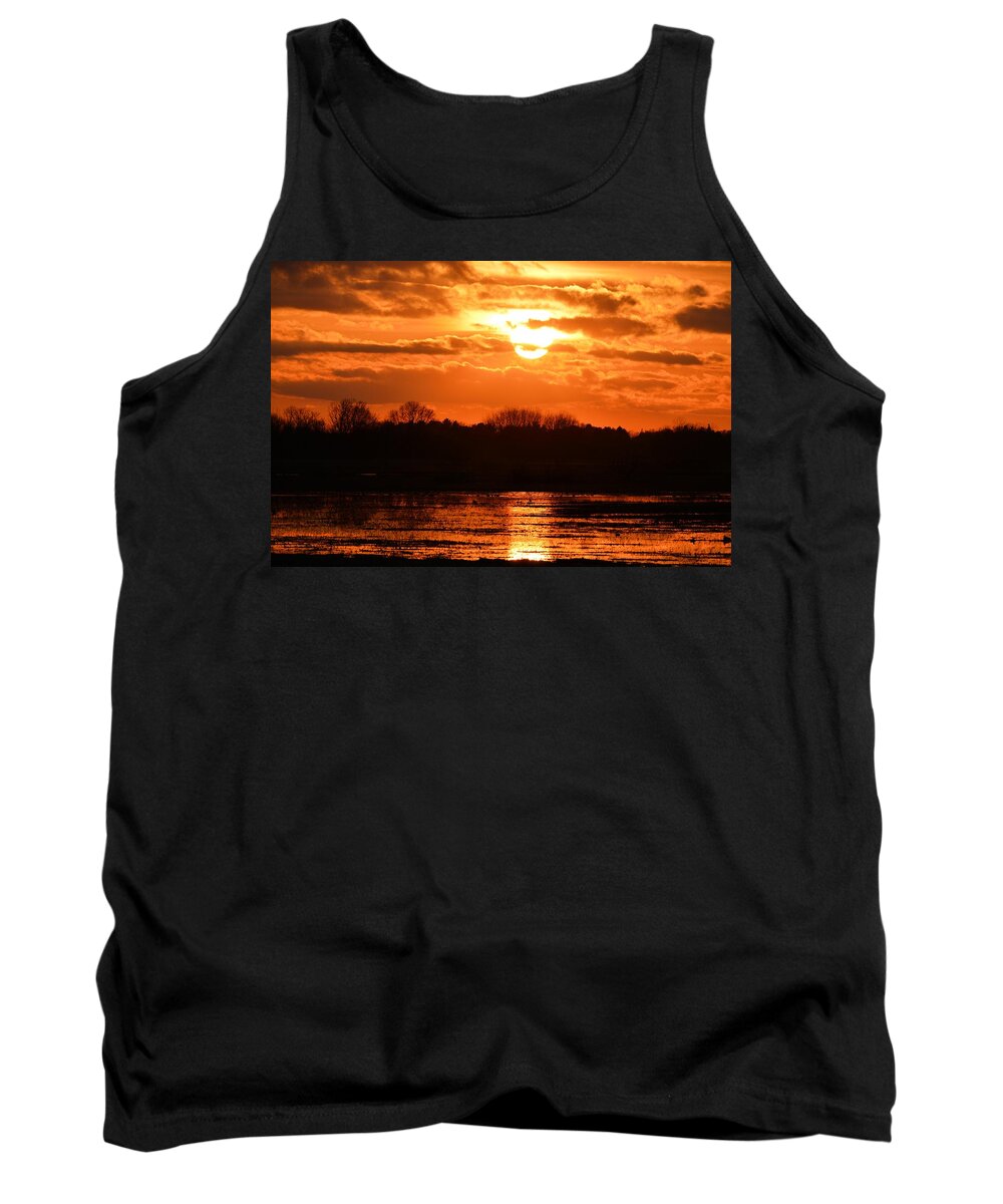 Marsh Tank Top featuring the photograph Golden Marsh by Bonfire Photography