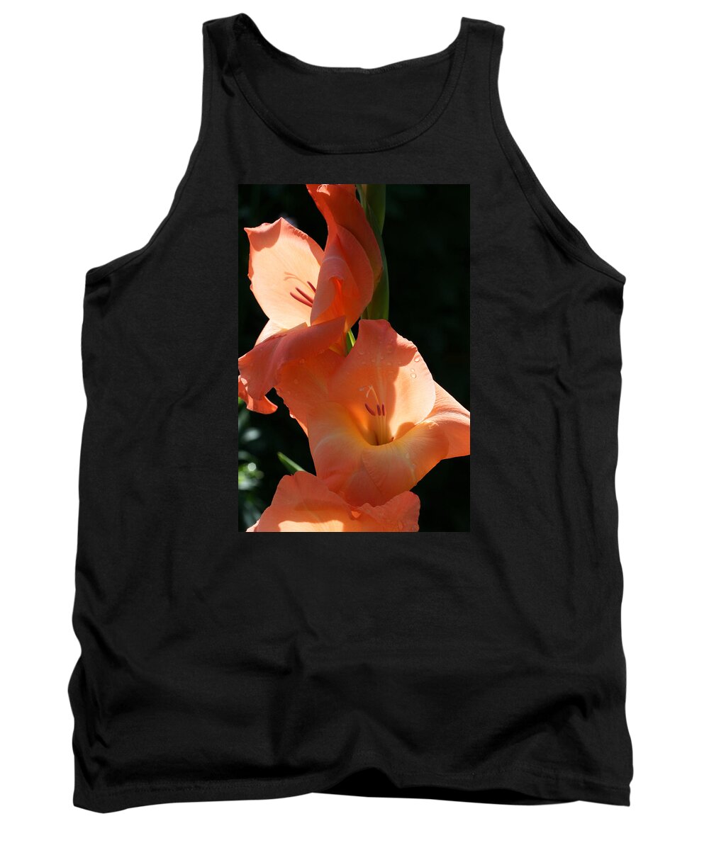 Gladiolus Tank Top featuring the photograph Graceful Gladiolus by Tammy Pool