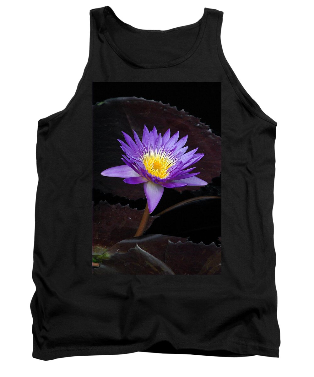 Water Tank Top featuring the photograph Grand Entrance by Byron Varvarigos