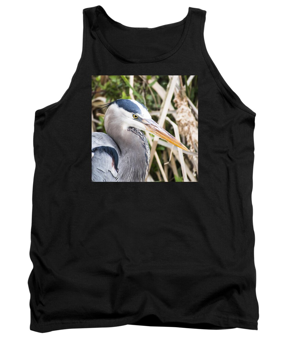 Great Blue Heron Tank Top featuring the photograph Great Blue Heron by Ian Johnson