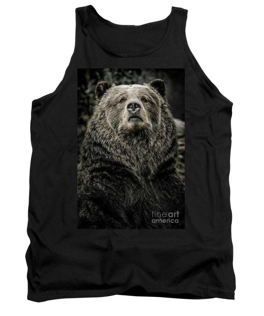 Allenfoto Tank Top featuring the photograph Grizzly Bear by Brad Allen Fine Art