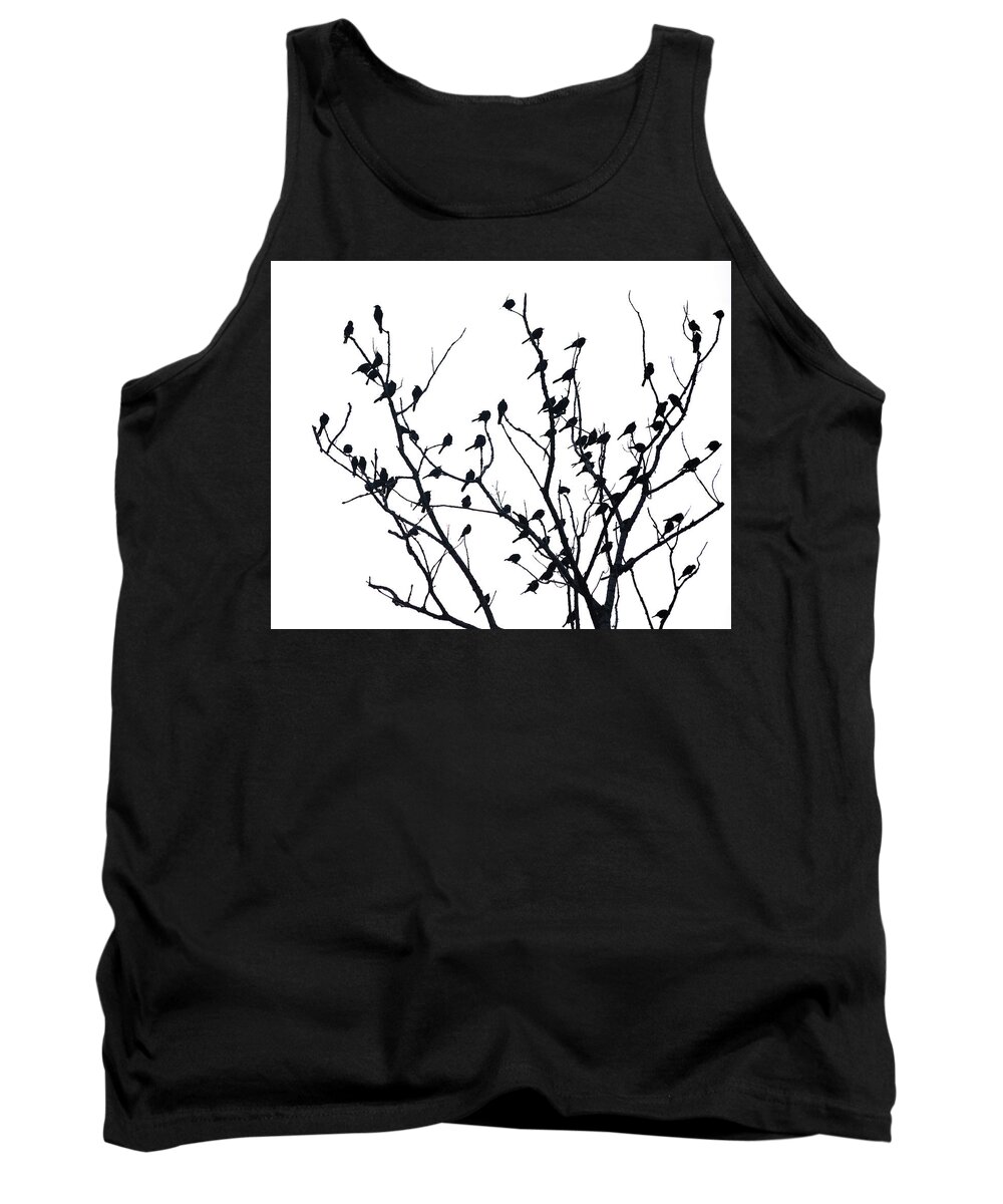 Explore Illinois Tank Top featuring the photograph Hanging Out by Lauri Novak