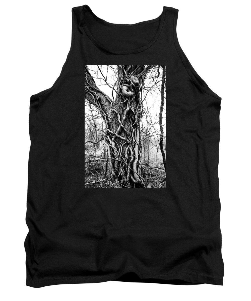 Nature Tank Top featuring the photograph Hard Embrace by Jeff Phillippi