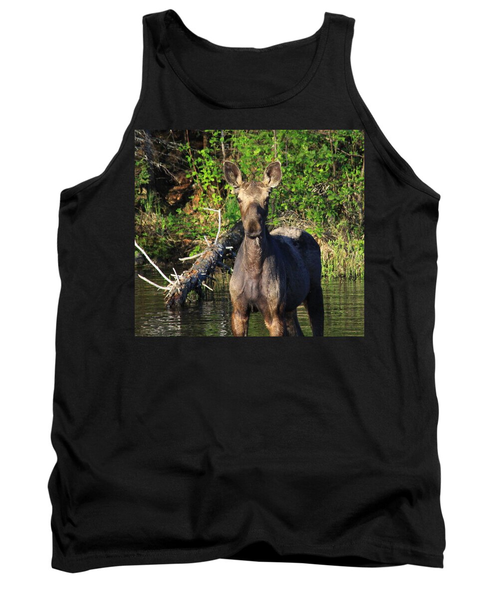 Moose Tank Top featuring the photograph Hi by Joi Electa