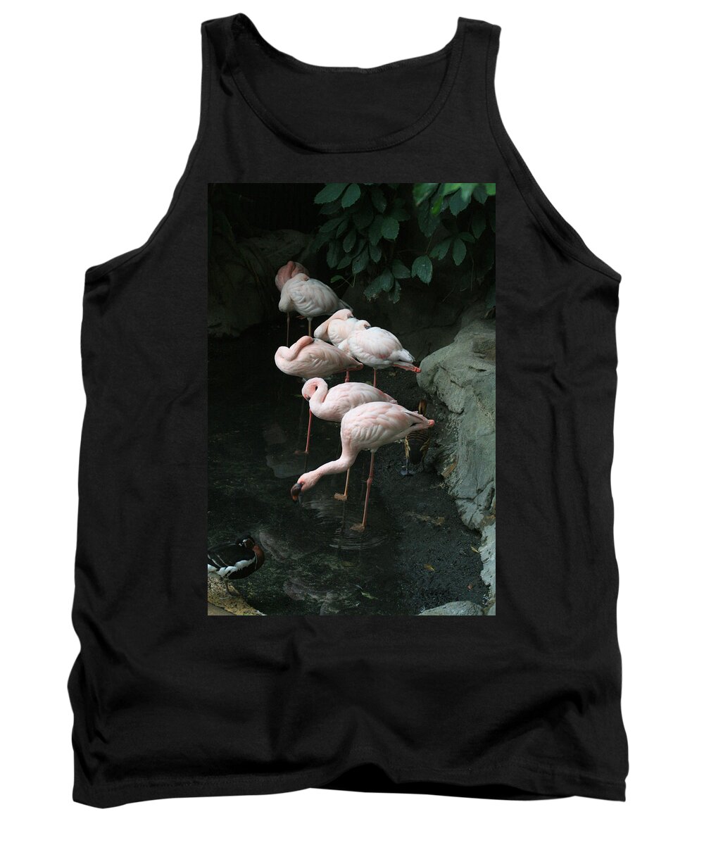 Scene Tank Top featuring the photograph Hide and Seek by Mary Mikawoz