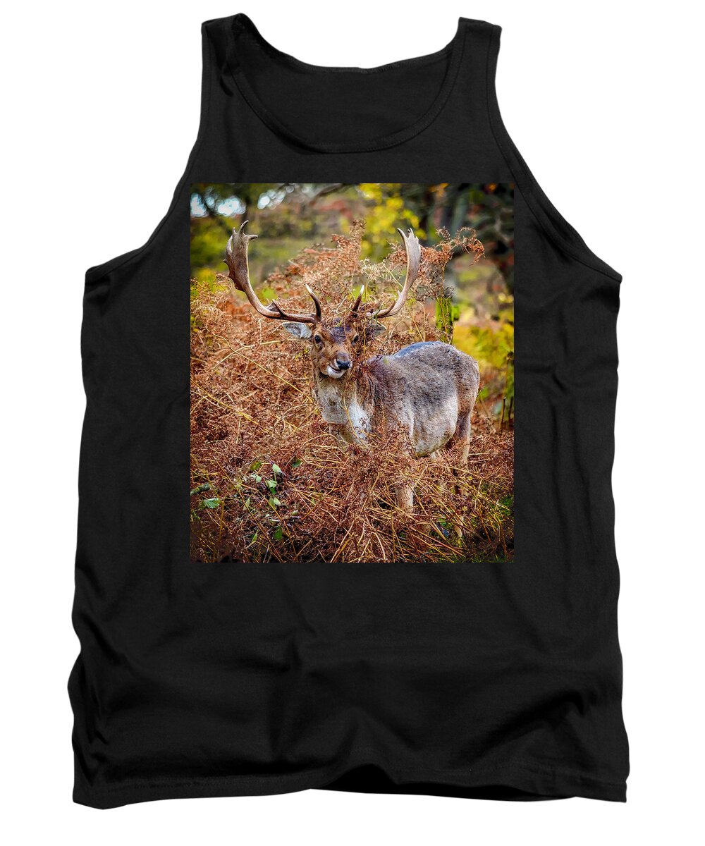 Deer Tank Top featuring the photograph Hiding in the Bracken by Nick Bywater