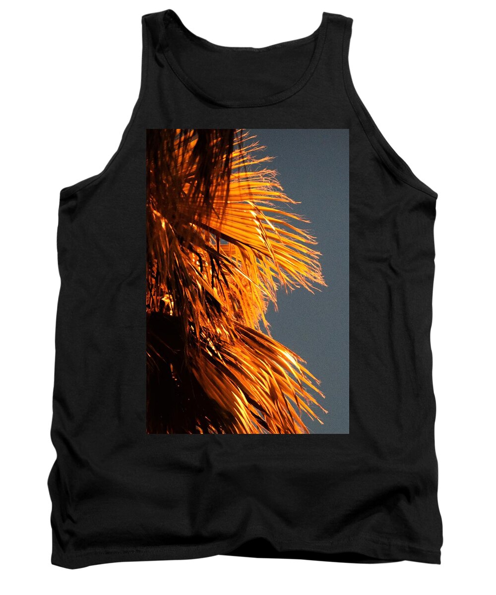 Desert Tank Top featuring the photograph Hot Air Frizzies by John Glass