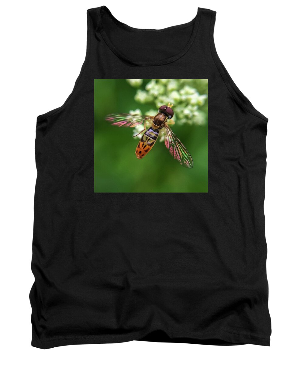Hover Fly Tank Top featuring the photograph Hover Fly by Terri Hart-Ellis