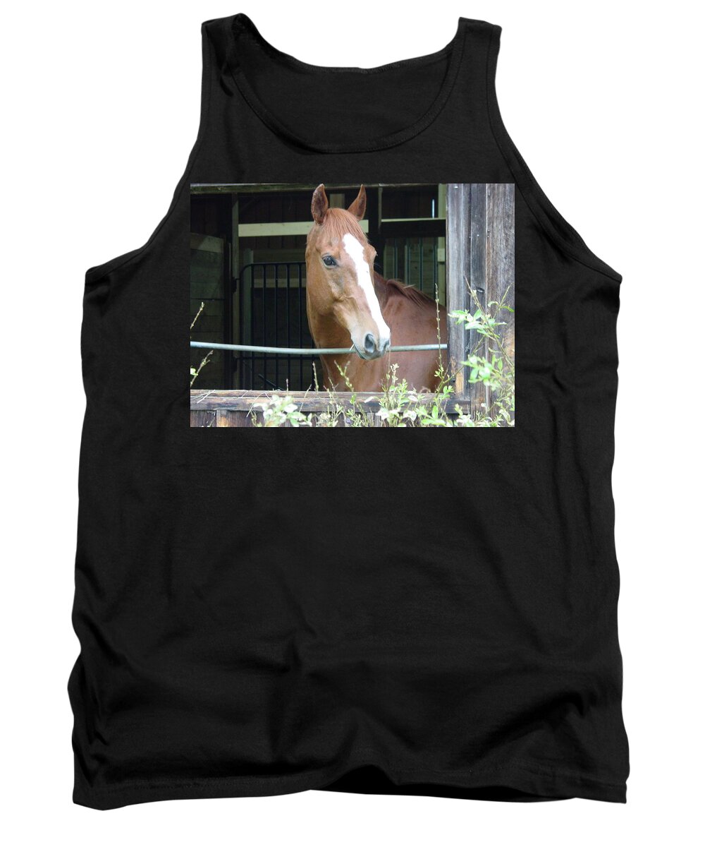 Horse Tank Top featuring the photograph I Want to Come Out and Play by Quwatha Valentine