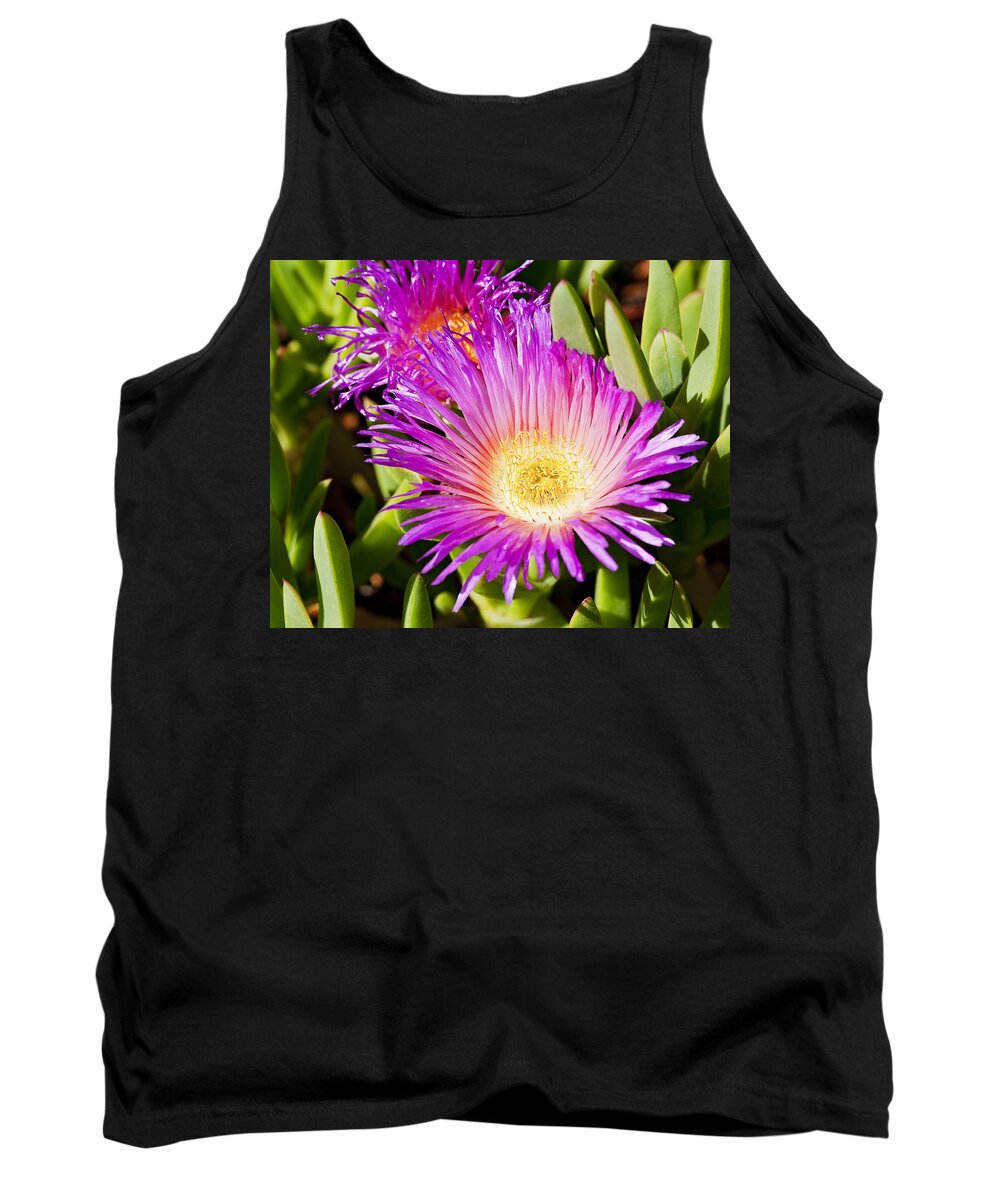 Ice Plant Tank Top featuring the photograph Ice Plant Blossom by Kelley King
