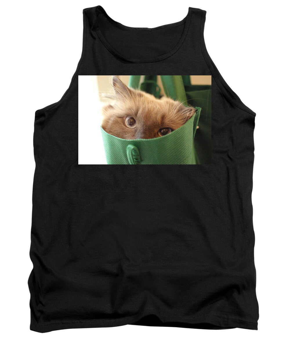 Cat Tank Top featuring the photograph Jack in the Bag by Cindy Johnston