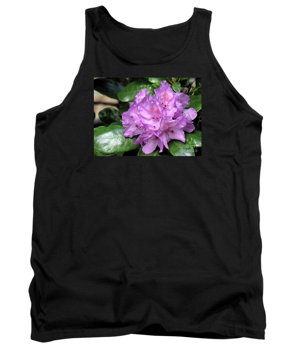 Rhododendron Tank Top featuring the photograph June Daphnoides by Chris Anderson