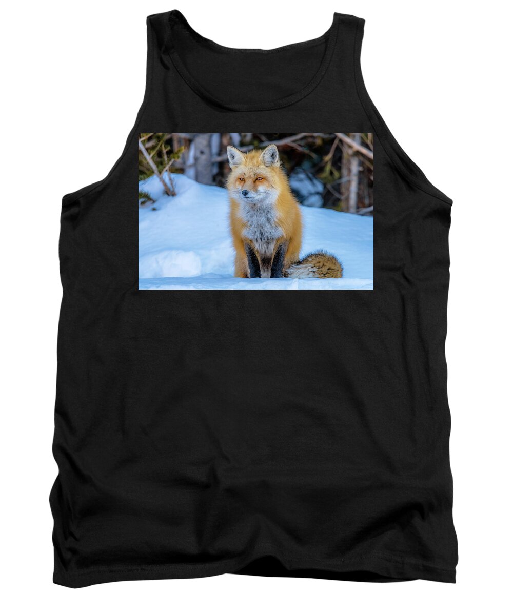 Red Fox Tank Top featuring the photograph Just Watching by Yeates Photography
