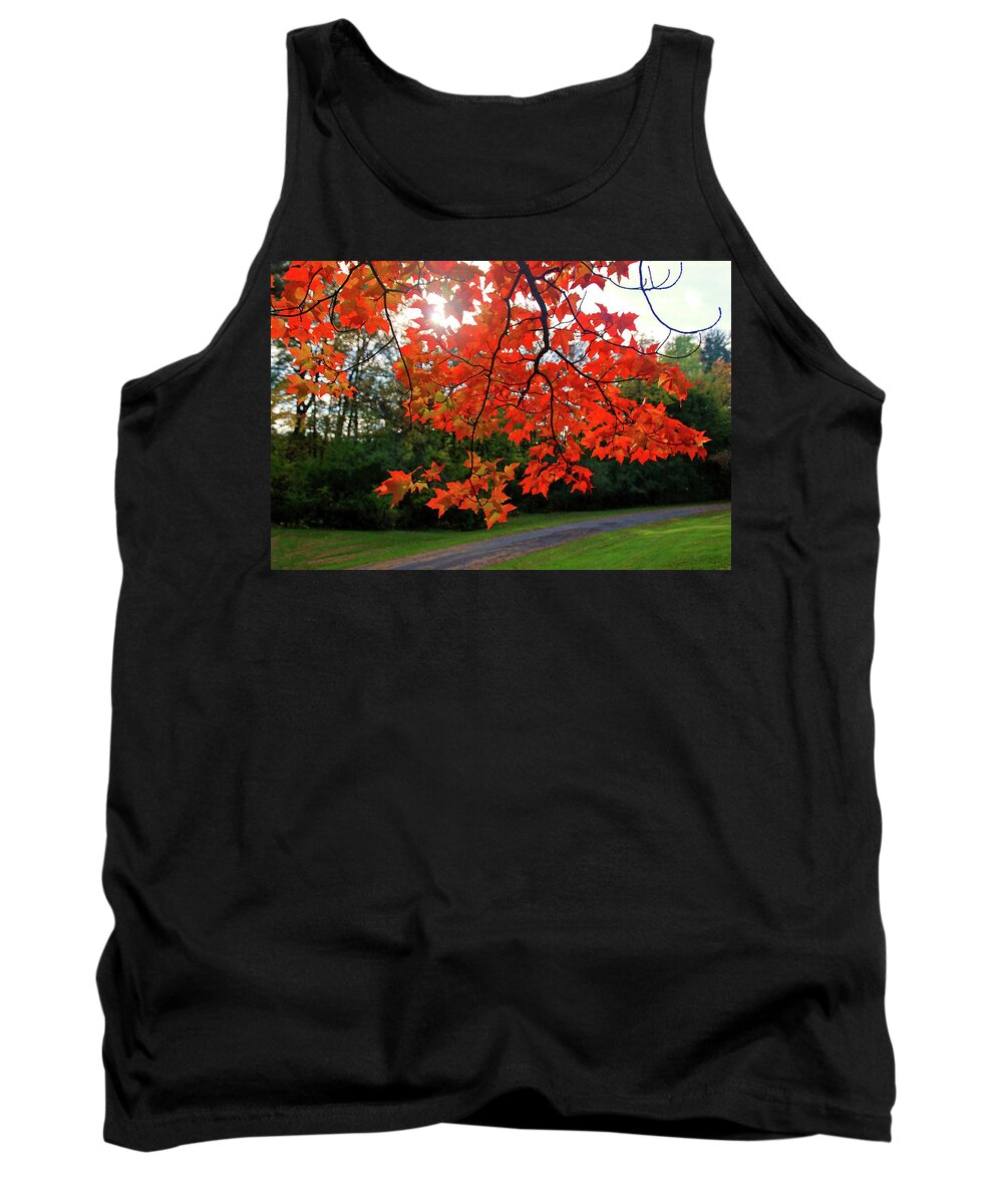 Tree Tank Top featuring the photograph Knox Park 8444 by Guy Whiteley