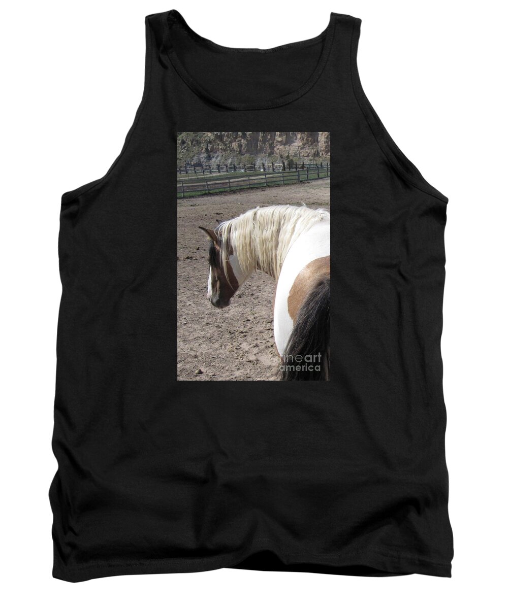 Horse Tank Top featuring the photograph Lakna by Brandy Woods