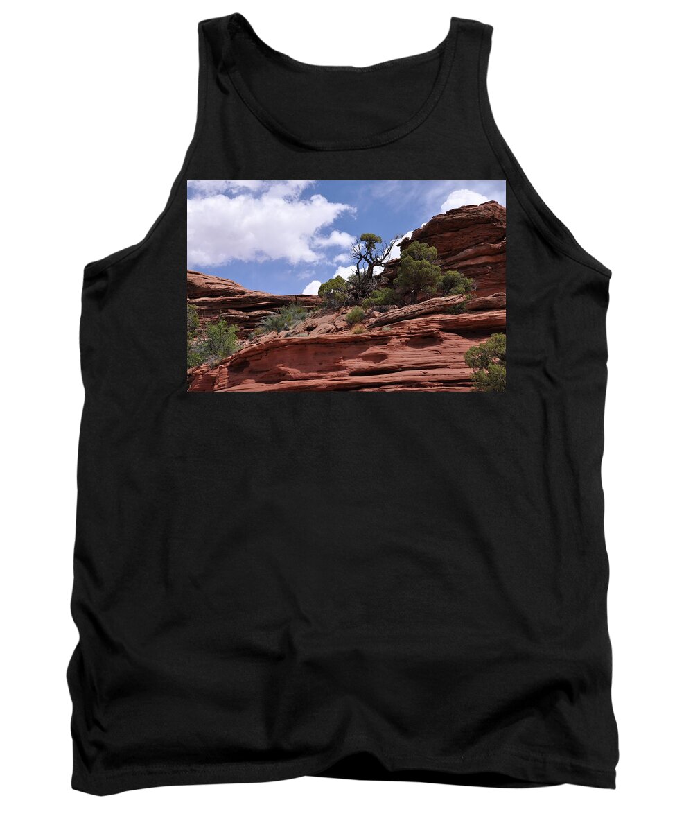 Canyonlands National Park Tank Top featuring the photograph Layers Upon Layers by Frank Madia