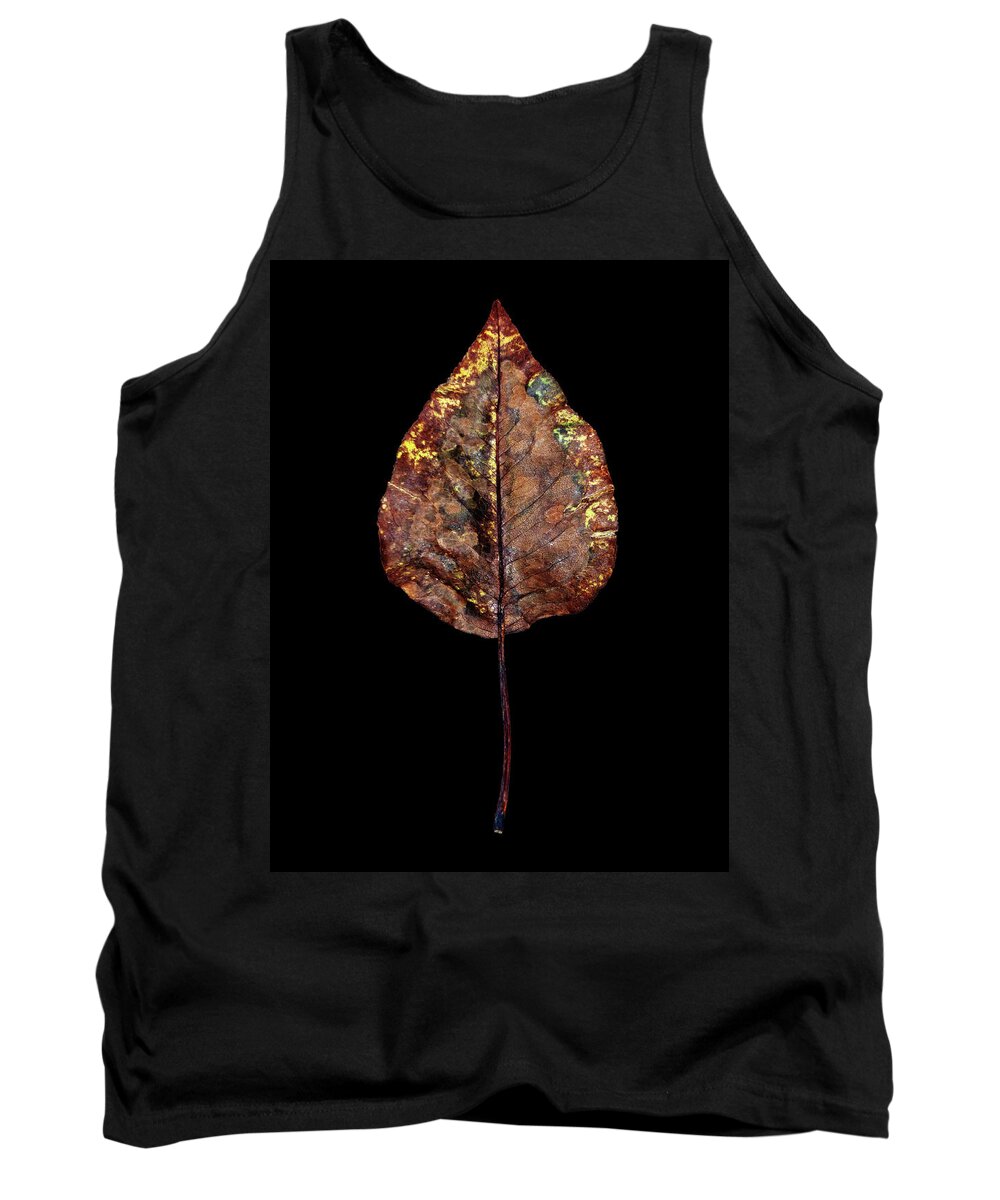 Leaves Tank Top featuring the photograph Leaf 21 by David J Bookbinder