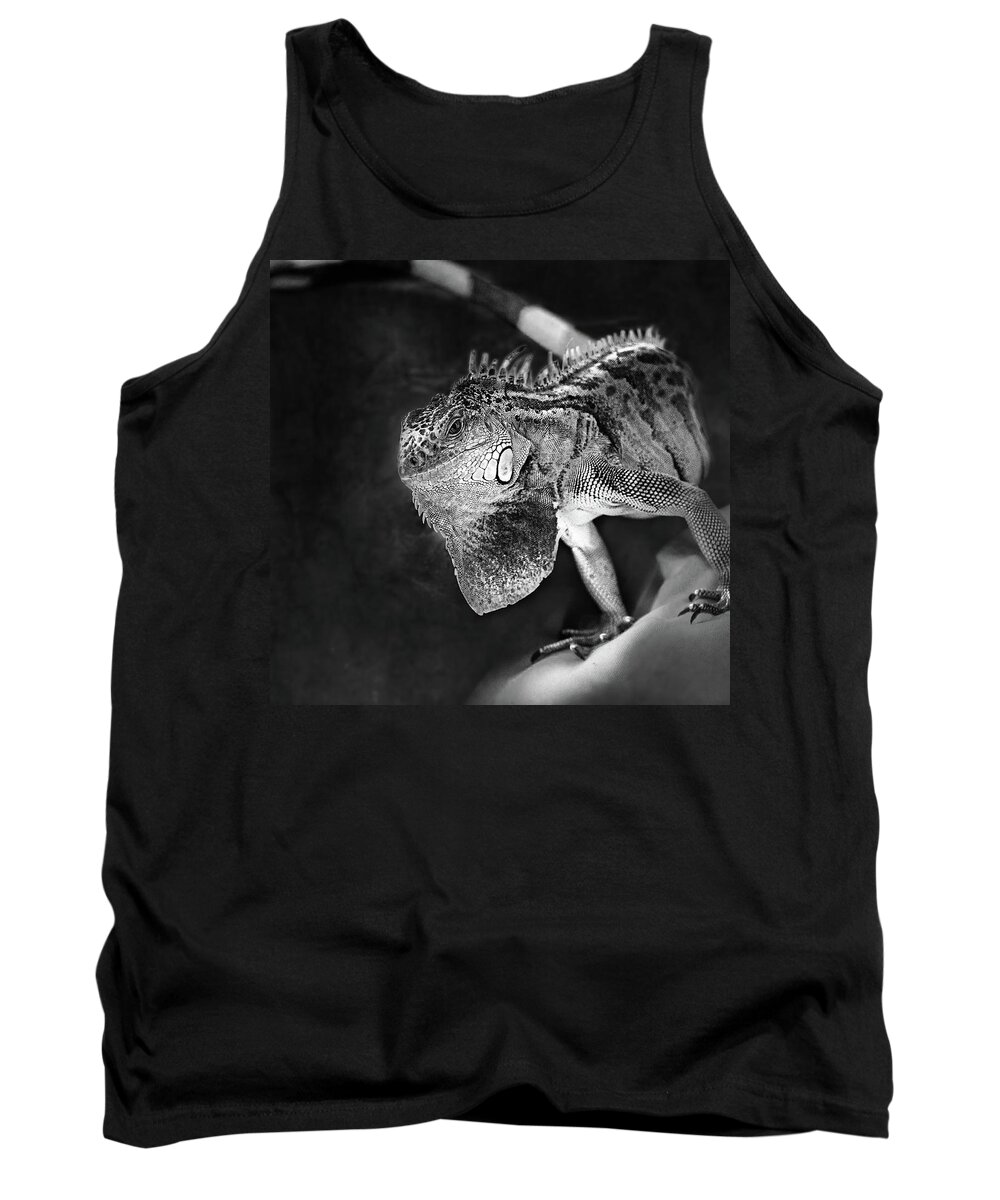 Iguana Tank Top featuring the photograph Lenny The Iguana by Sue Capuano