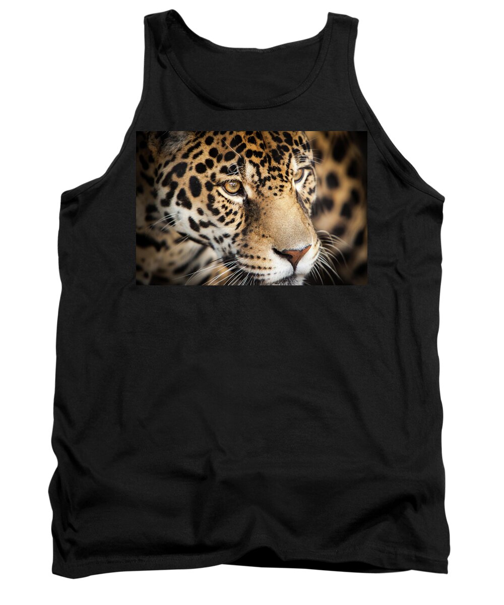 Africa Tank Top featuring the photograph Leopard Face by John Wadleigh