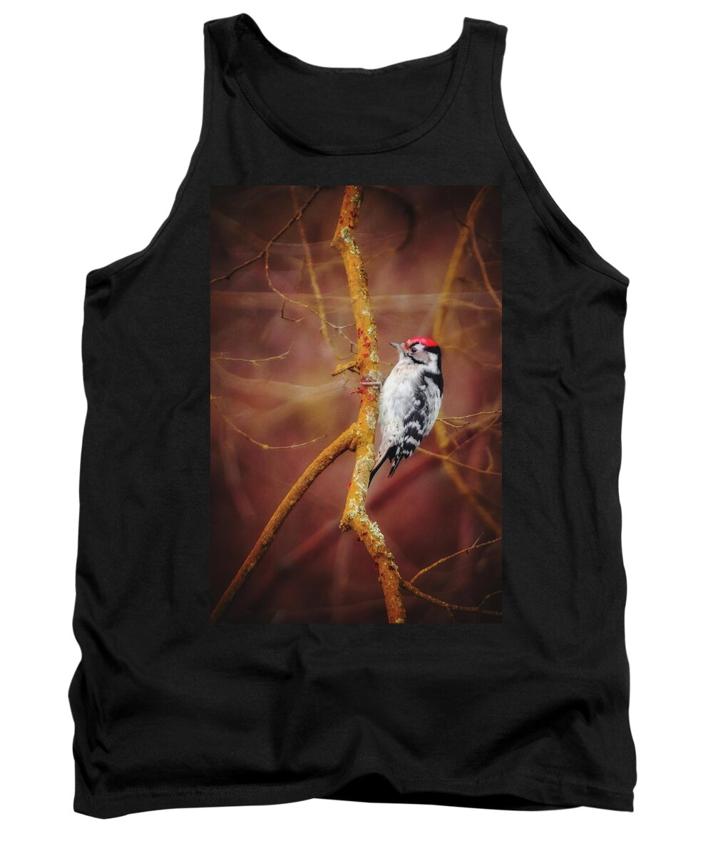 Lesser Spotted Woodpecker Tank Top featuring the photograph Lesser Spotted Woodpecker - Dryobates minor by Marc Braner
