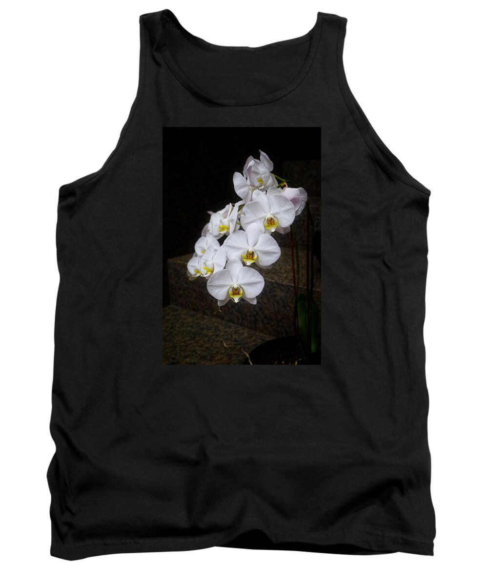 Steps Tank Top featuring the photograph Like A Dove by Lucinda Walter