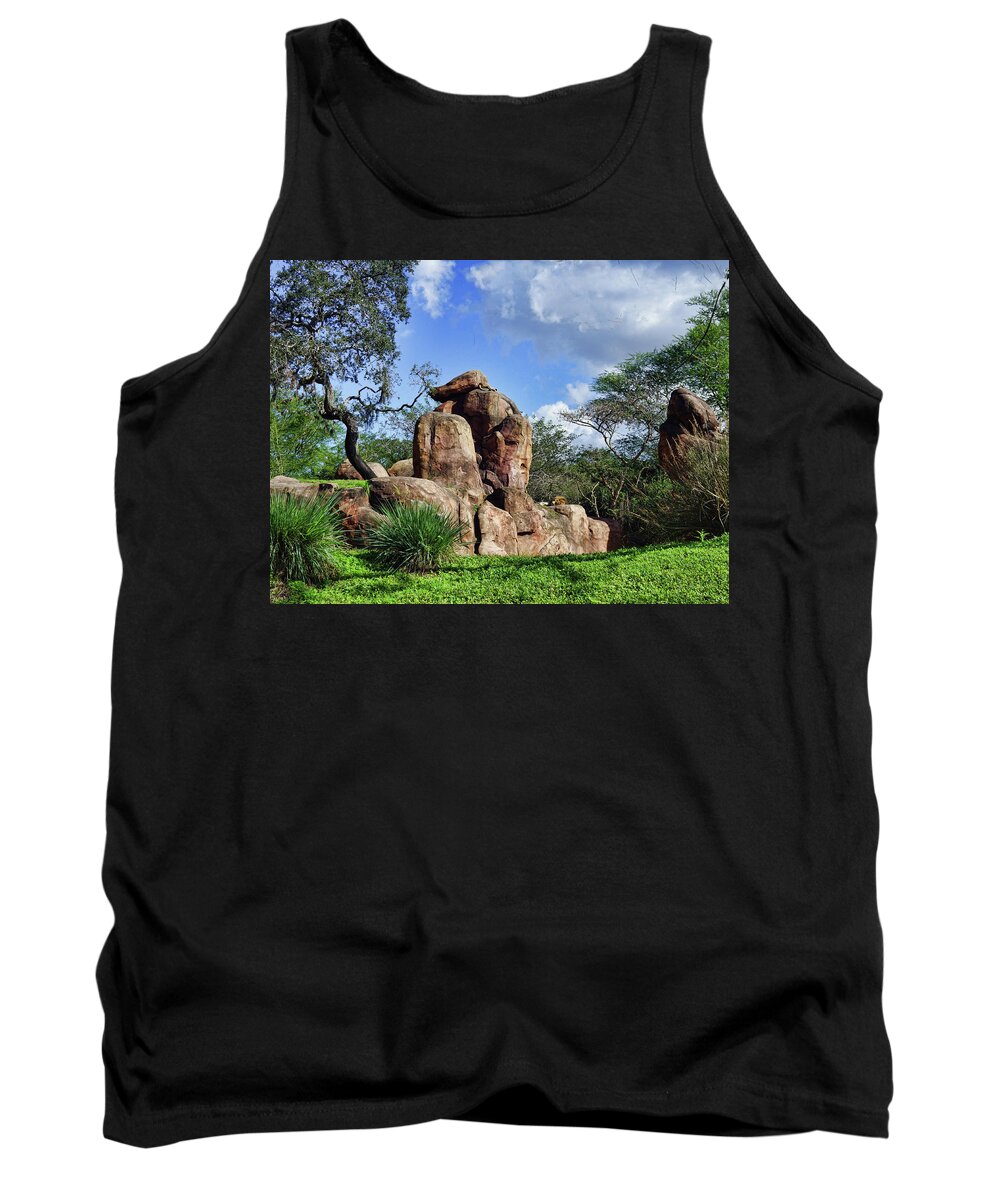 Landscape. Disney Land Tank Top featuring the photograph Lions On The Rock by M Three Photos