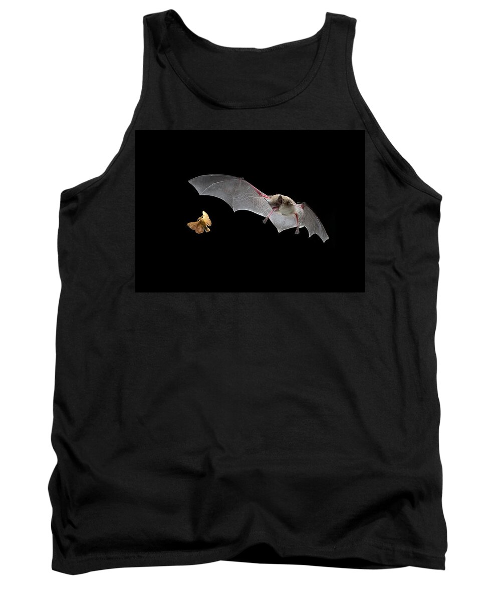 Mp Tank Top featuring the photograph Little Brown Bat Hunting Moth by Michael Durham