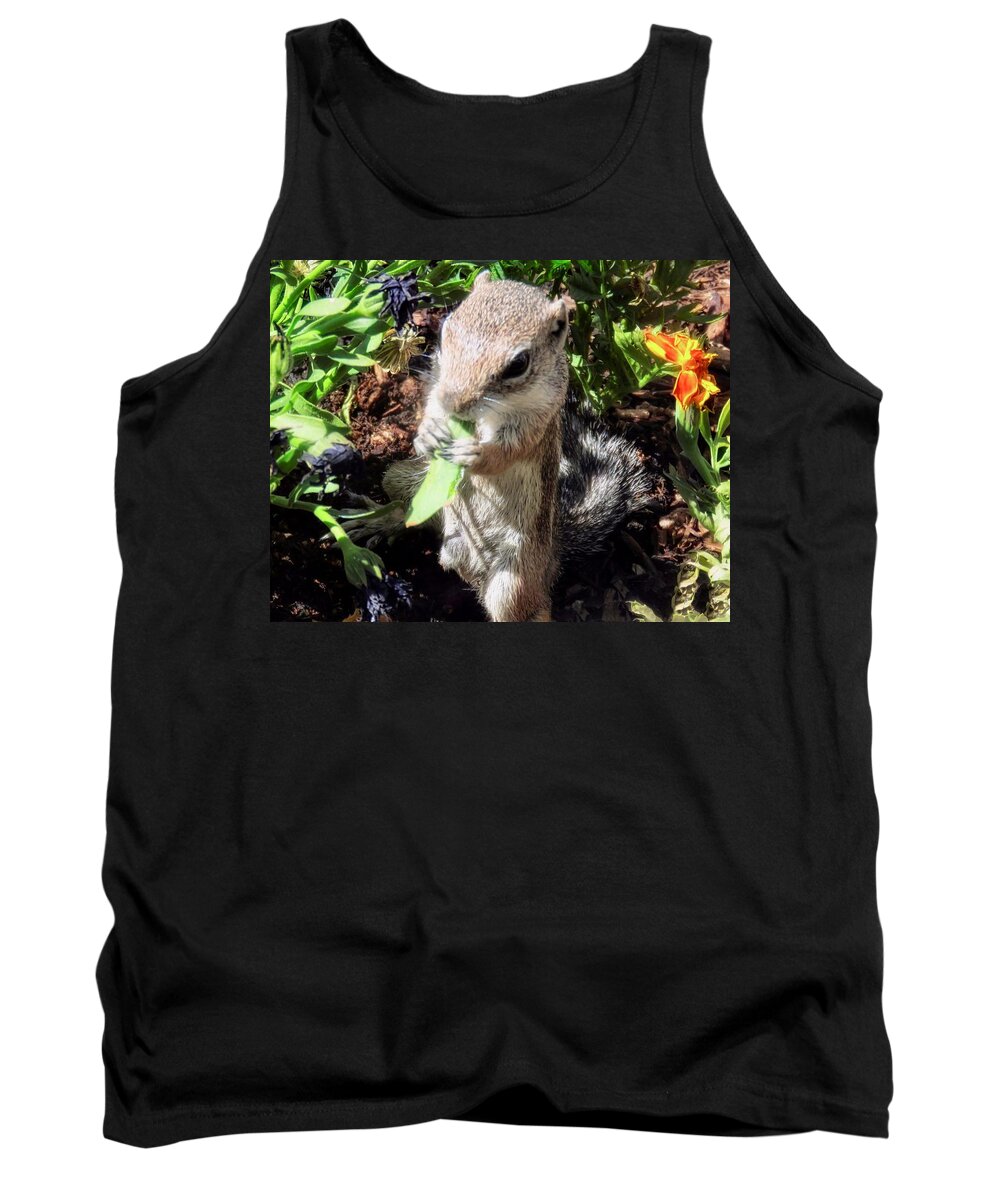 Arizona Tank Top featuring the photograph Little Nibbler by Judy Kennedy