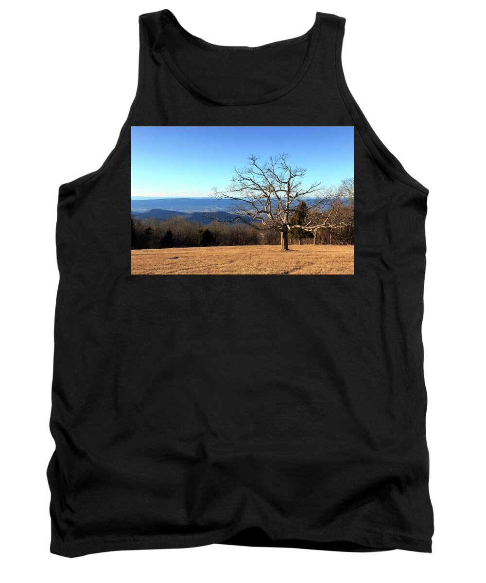 Lone Tank Top featuring the photograph Lone Tree by Travis Rogers