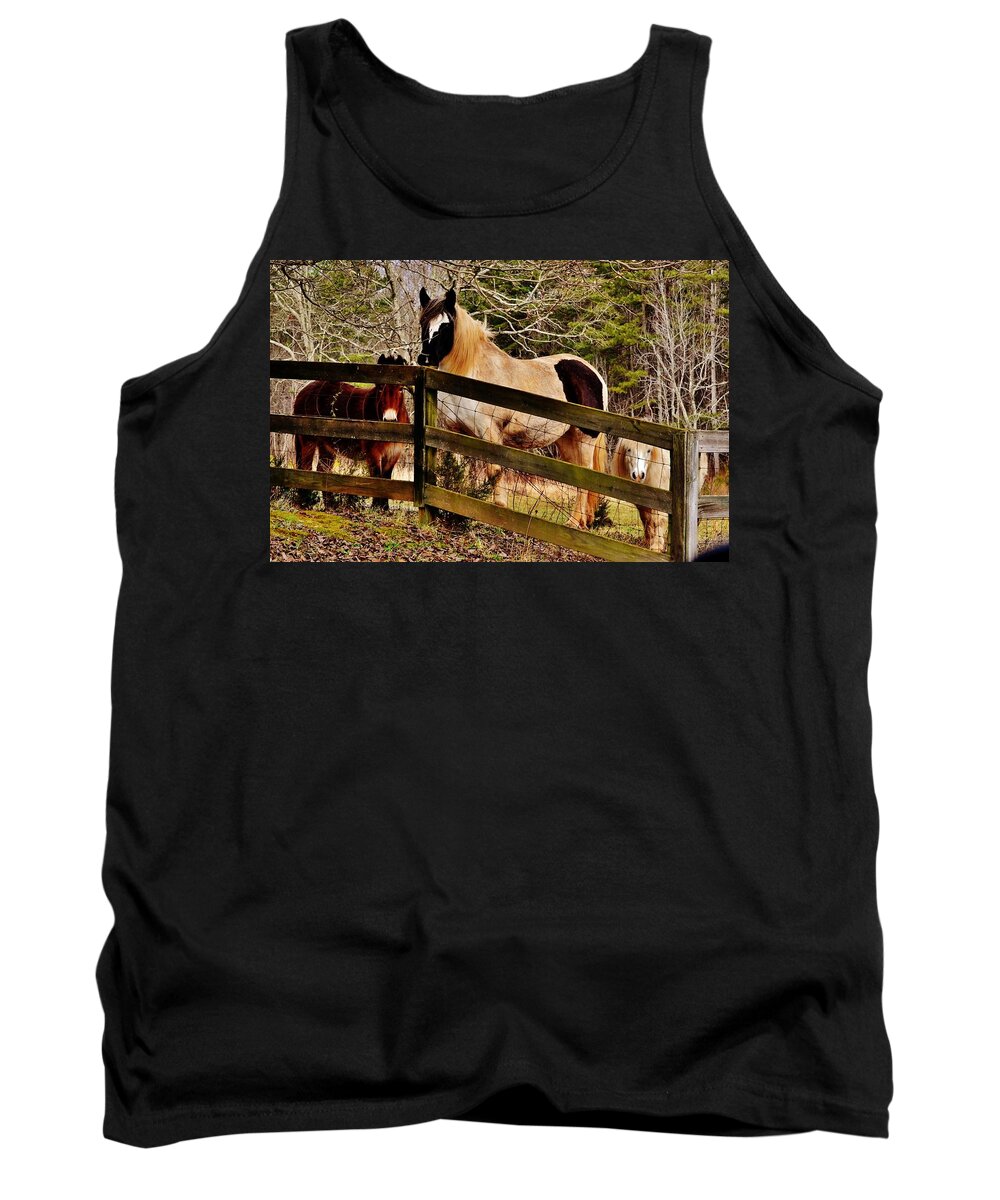 Horses Tank Top featuring the photograph Look At Me by Eileen Brymer