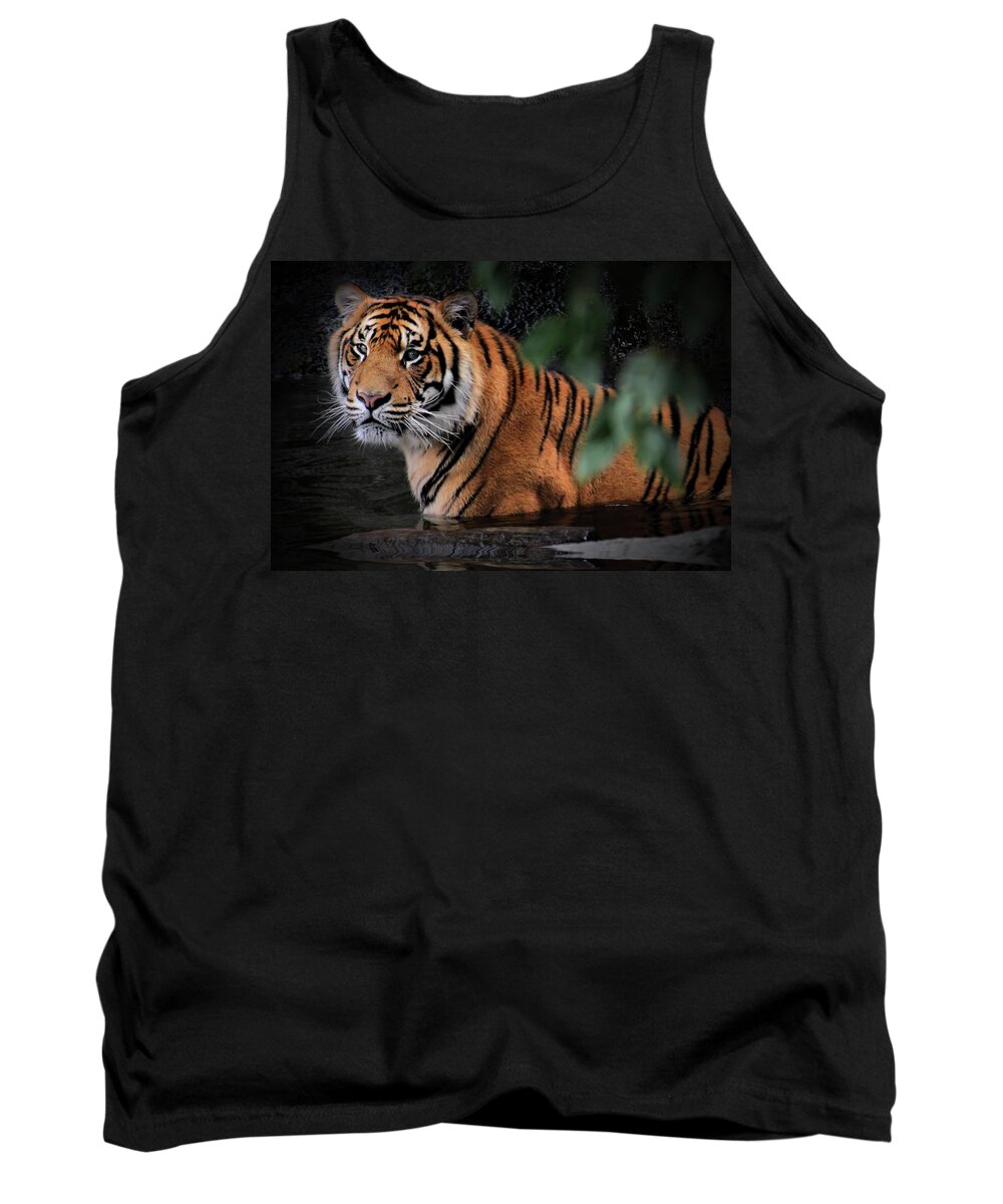  Tigers Tank Top featuring the photograph Looking Oh So Sweet by Kym Clarke