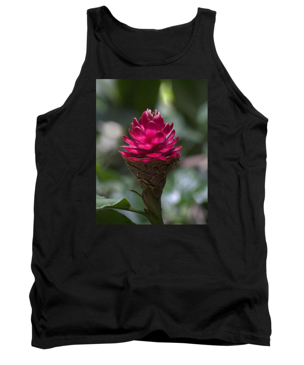  Flower Tank Top featuring the photograph Luminous Ginger by Morris McClung